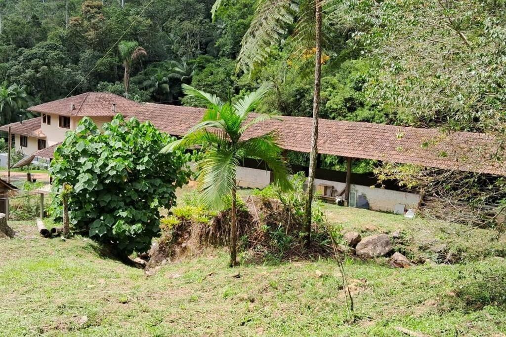 Sitio Som Das Aguas Benedito Novo Екстериор снимка