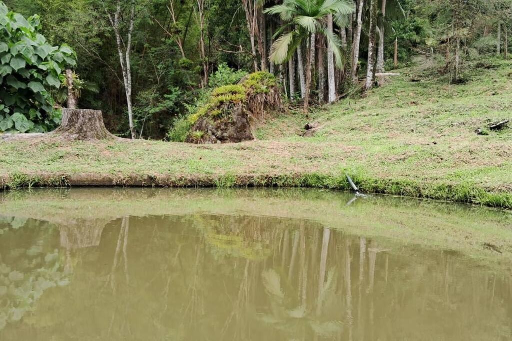 Sitio Som Das Aguas Benedito Novo Екстериор снимка