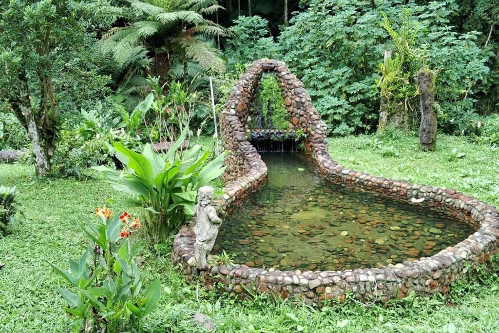 Sitio Som Das Aguas Benedito Novo Екстериор снимка