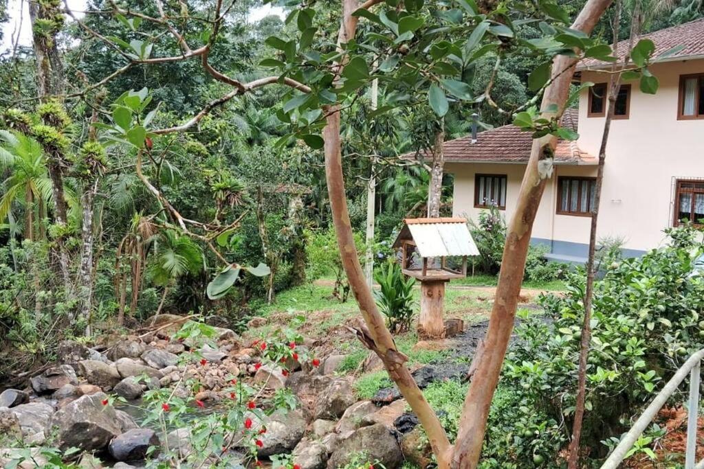Sitio Som Das Aguas Benedito Novo Екстериор снимка