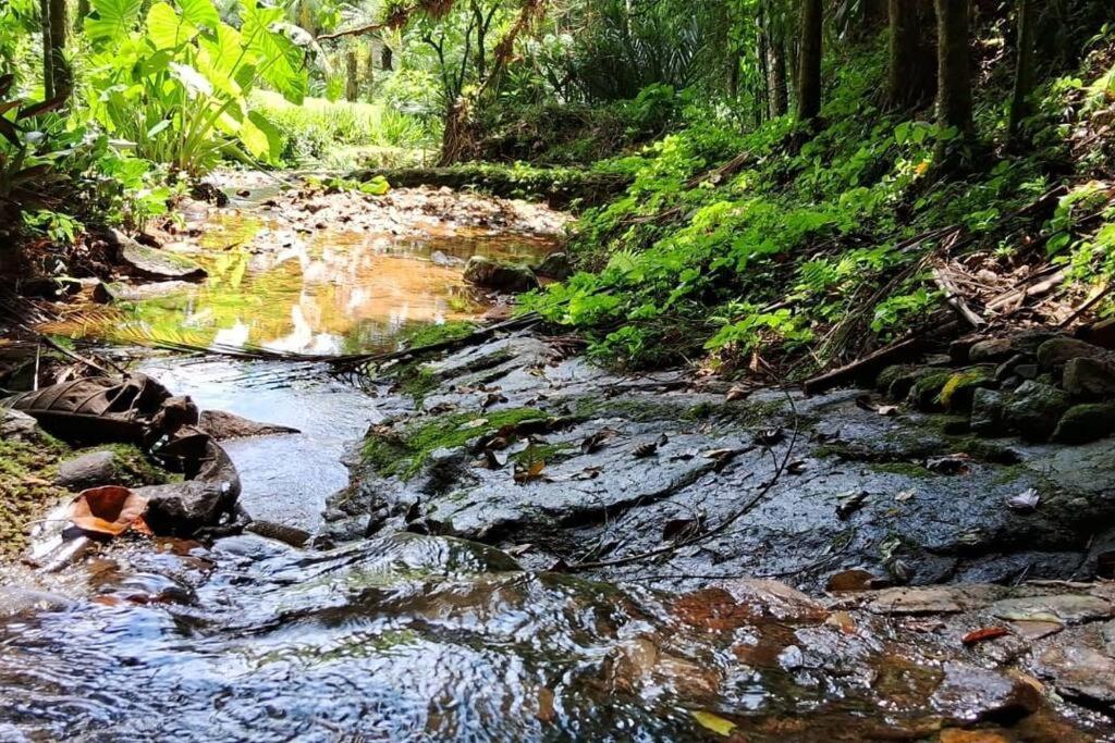 Sitio Som Das Aguas Benedito Novo Екстериор снимка