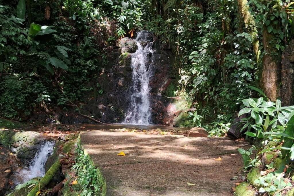 Sitio Som Das Aguas Benedito Novo Екстериор снимка