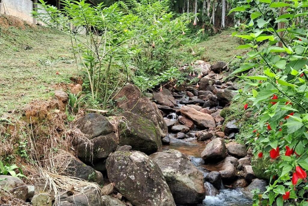 Sitio Som Das Aguas Benedito Novo Екстериор снимка