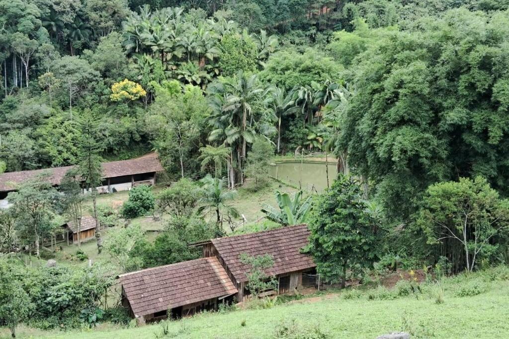 Sitio Som Das Aguas Benedito Novo Екстериор снимка
