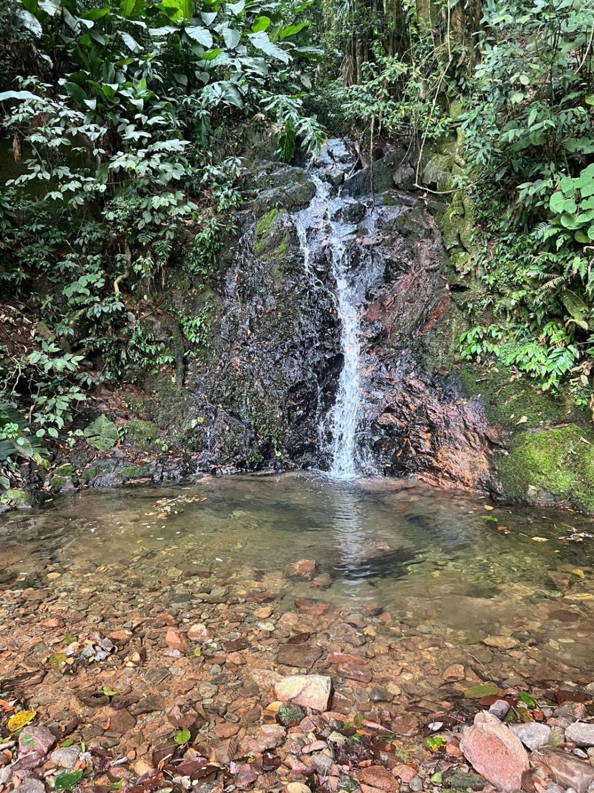 Sitio Som Das Aguas Benedito Novo Екстериор снимка