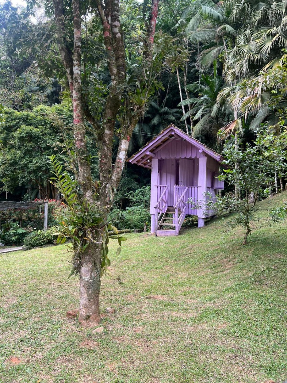 Sitio Som Das Aguas Benedito Novo Екстериор снимка