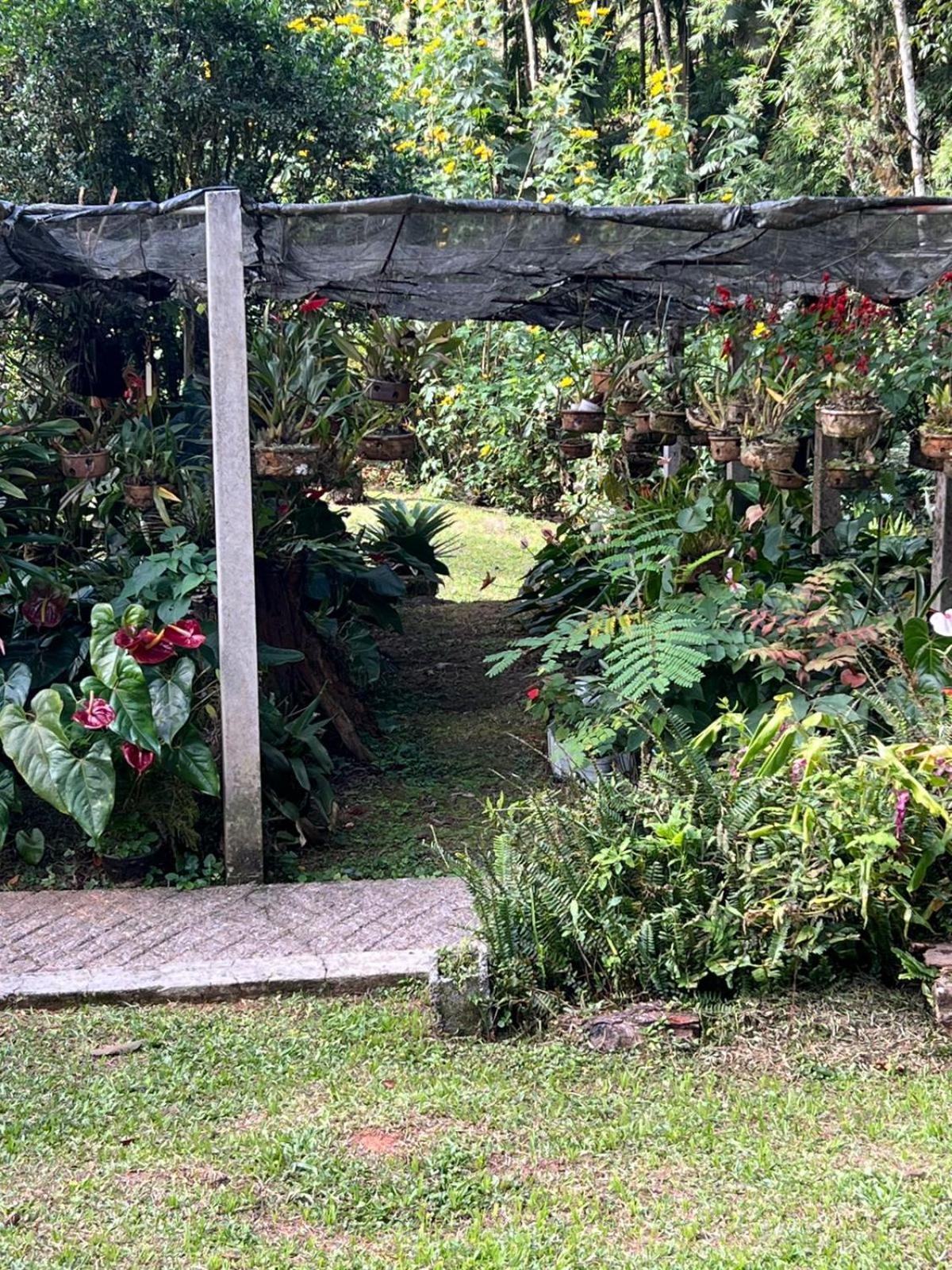Sitio Som Das Aguas Benedito Novo Екстериор снимка